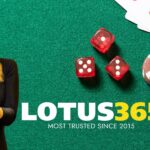 Lotus365 Casino Review