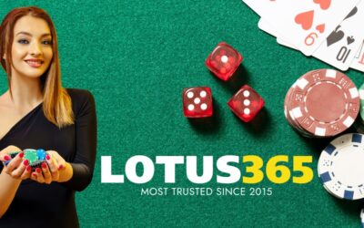 Lotus365 Casino Review