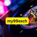 my99exch guide